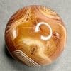 SP100 Sardonyx - Image 3