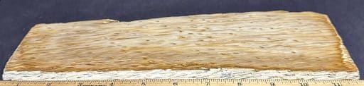 PW108 Petrified Palmwood Slab - Image 4