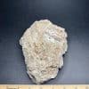 M805 South Dakota Chalcedony - Image 3