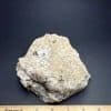 M805 South Dakota Chalcedony - Image 4