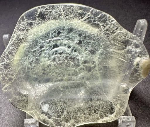 PR911 Fluorite Dish - Image 4