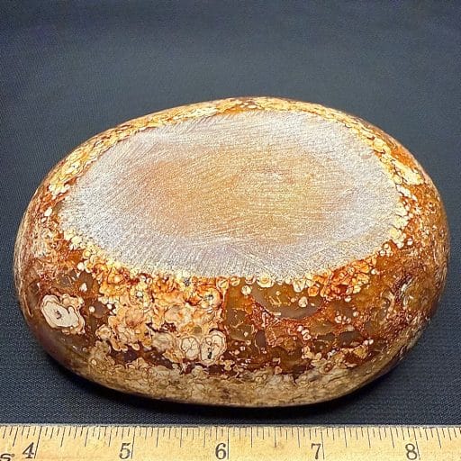 CV114 Carnelian Dish - Image 4