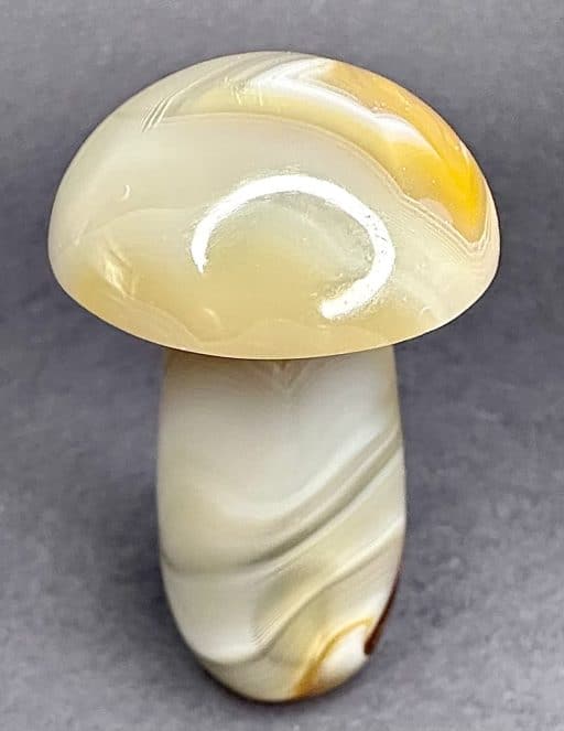 Carnelian Agate Mushroom