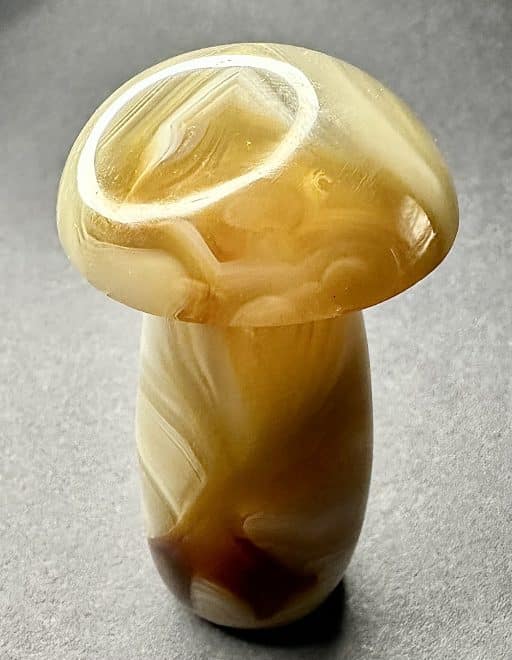 Carnelian Agate Mushroom