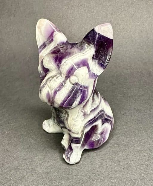 Banded Amethyst French Bulldog