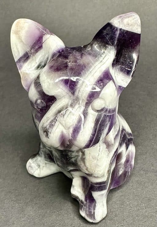 Banded Amethyst French Bulldog