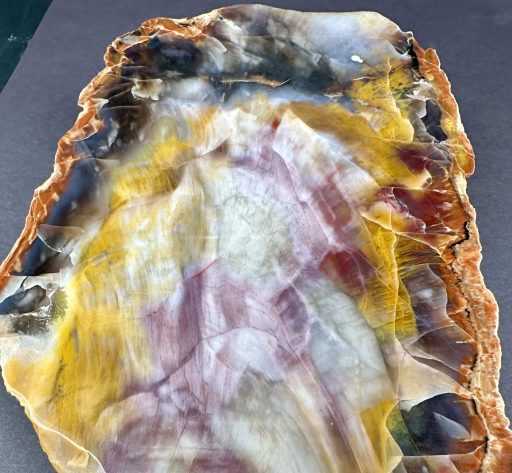 PETRIFIED WOOD