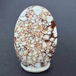 Wild Horse Magnesite