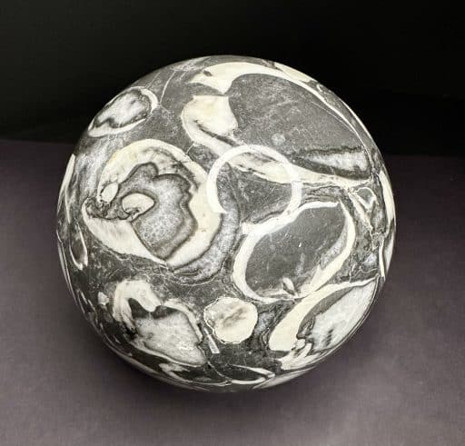 FOSSIL SHELL MARBLE SPHERE