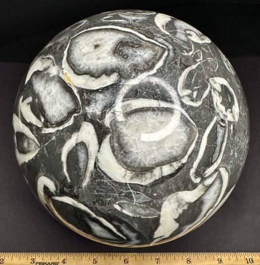 GAL705 FOSSIL SHELL MARBLE SPHERE - Image 2