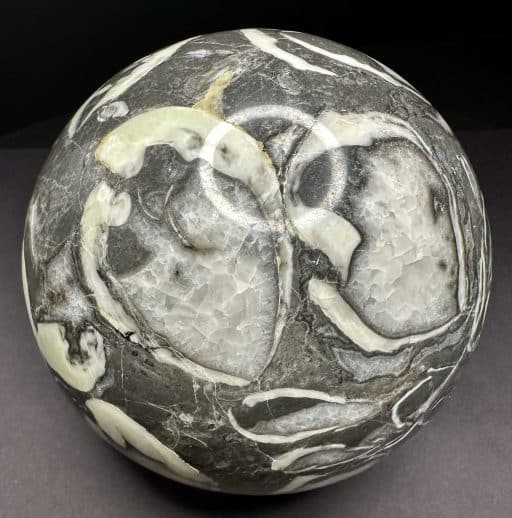 GAL705 FOSSIL SHELL MARBLE SPHERE - Image 3