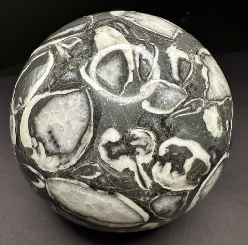 GAL705 FOSSIL SHELL MARBLE SPHERE - Image 4