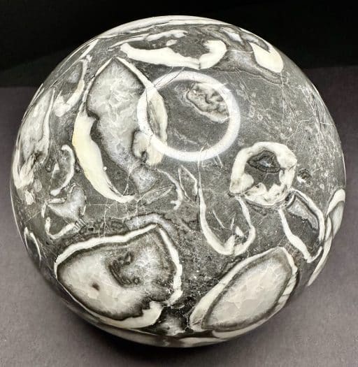 GAL705 FOSSIL SHELL MARBLE SPHERE - Image 5