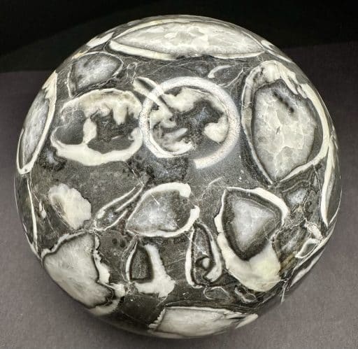 FOSSIL SHELL MARBLE SPHERE