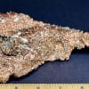 GAL901 COPPER - Image 3