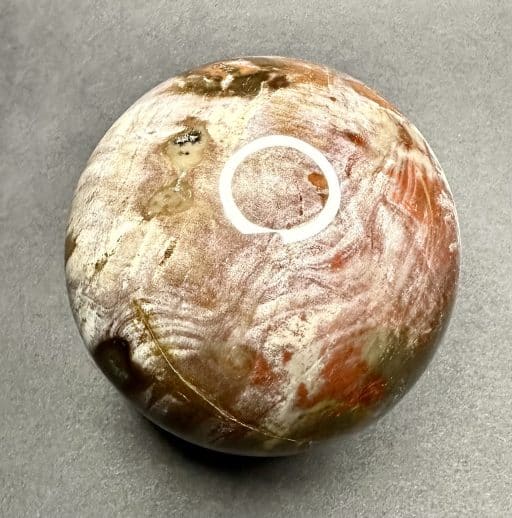 Petrified Wood