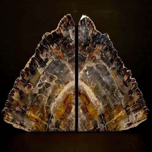 BK503 Petrified Wood Bookends - Image 5