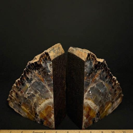 BK503 Petrified Wood Bookends - Image 3