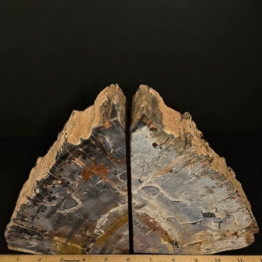 Petrified Wood Bookends