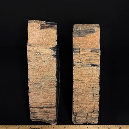 BK503 Petrified Wood Bookends - Image 4