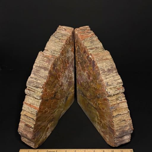 BK506 Petrified Wood Bookends - Image 2