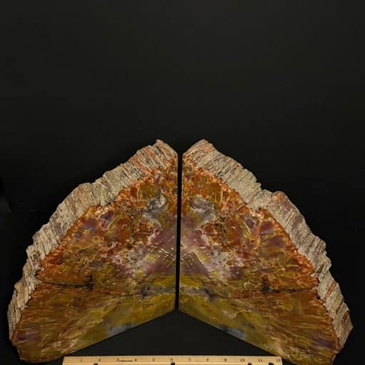 BK506 Petrified Wood Bookends - Image 3