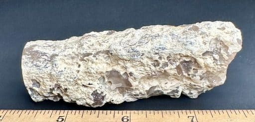 PW110 Petrified Wood Limb - Image 2