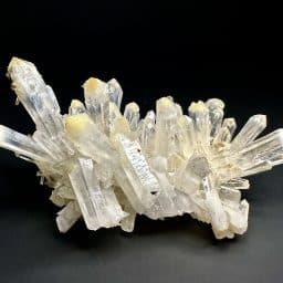 Lemurian Quartz Cluster