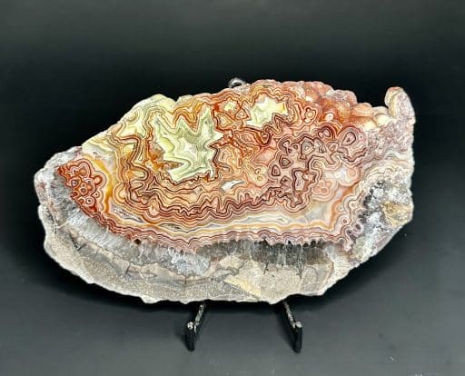 Mexican Lace Agate