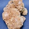 M408 Creedite - Image 4
