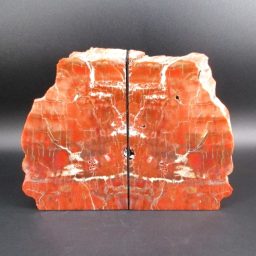 Petrified Wood Bookends