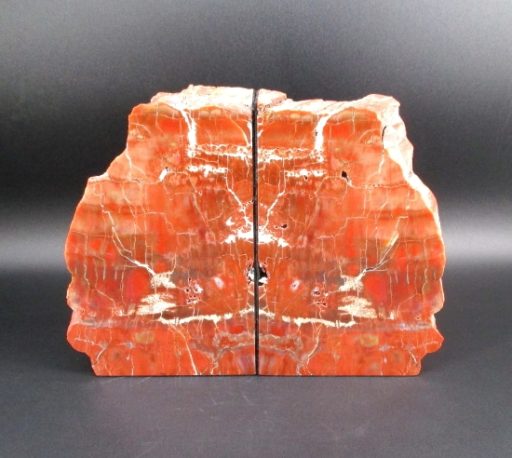 Petrified Wood Bookends