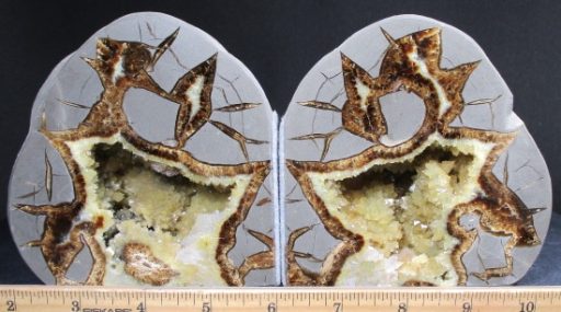 Septarian