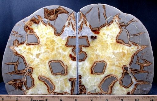 Septarian Bookends