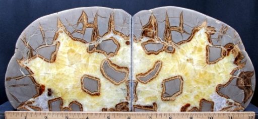 Septarian Bookends