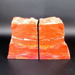 Petrified Wood Bookends