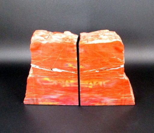 Petrified Wood Bookends