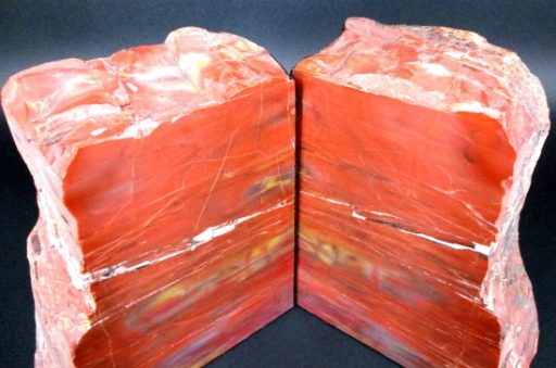 Petrified Wood Bookends