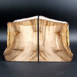 Petrified Wood Bookends