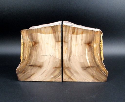 Petrified Wood Bookends