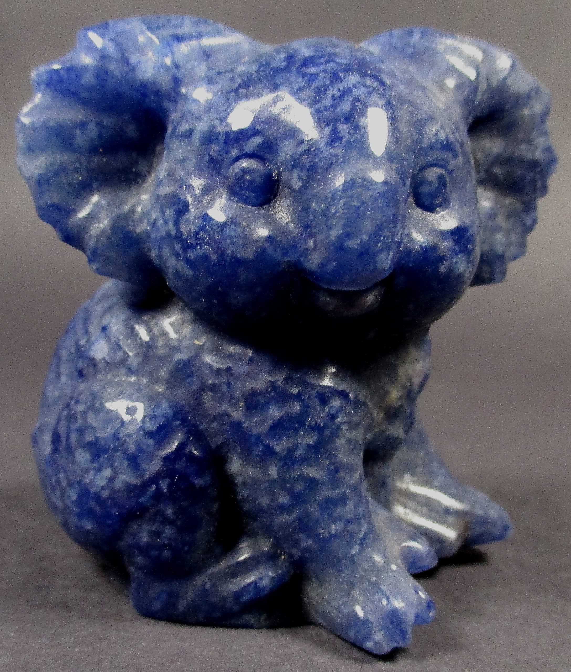 CV201 Sodalite Koala - The Rock Shed