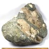 GAL209  MADAGASCAR AMMONITES - Image 4