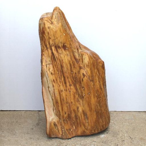 PETRIFIED WOOD