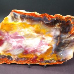 PETRIFIED WOOD