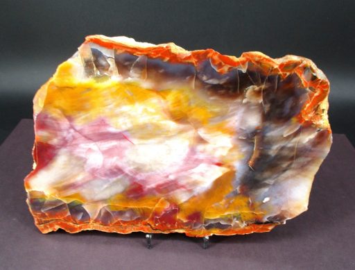 PETRIFIED WOOD