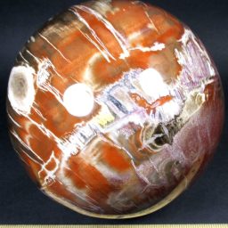 PETRIFIED WOOD SPHERE