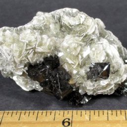 Cassiterite