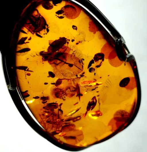 PN707 Amber - Image 3