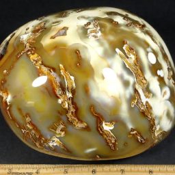 Carnelian Free Form from Madagascar