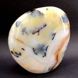 Black Skin Agate Freeform